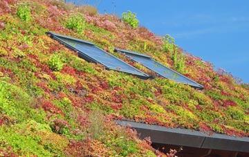 Lower Tasburgh living roof systems